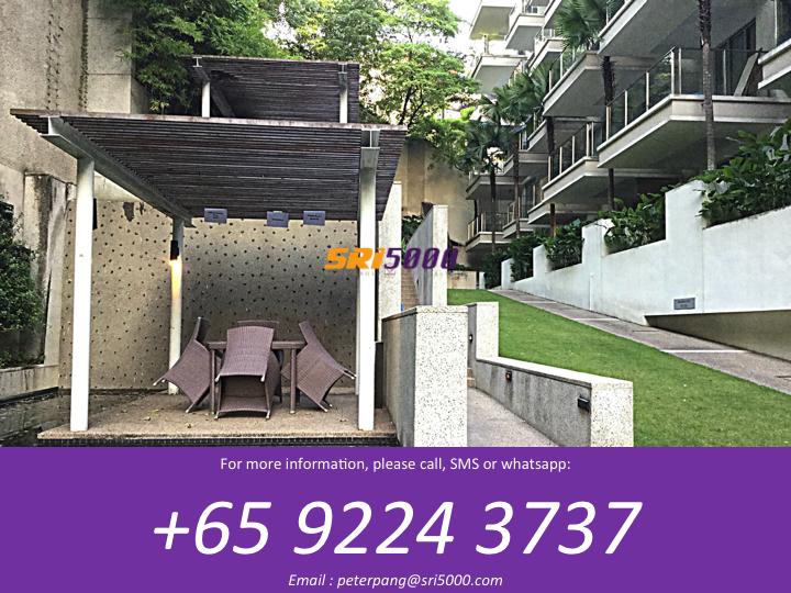 8 @ Mount Sophia (D9), Condominium #79351092